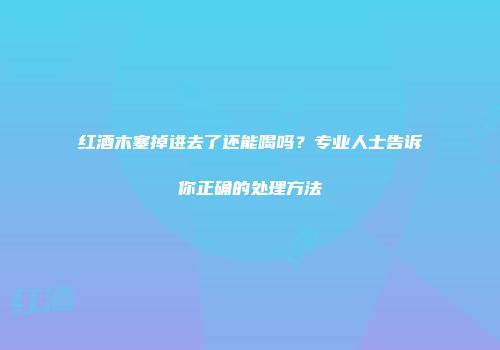 红酒木塞掉进去了还能喝吗？专业人士告诉你正确的处理方法
