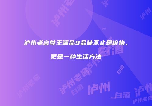 泸州老窖尊王精品9品味不止是价格，更是一种生活方法