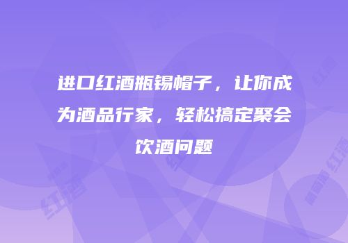 进口红酒瓶锡帽子，让你成为酒品行家，轻松搞定聚会饮酒问题