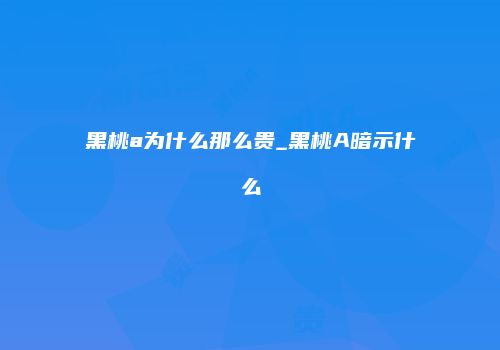 黑桃a为什么那么贵_黑桃A暗示什么