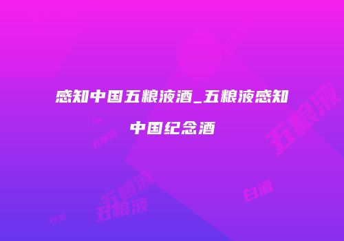 感知中国五粮液酒_五粮液感知中国纪念酒