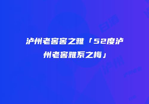 泸州老窖窖之雅「52度泸州老窖雅系之梅」