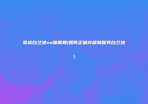 张裕白兰地xo保质期(如何正确存储和保养白兰地)