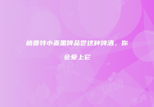 格鲁特小麦黑啤品尝这种啤酒，你会爱上它