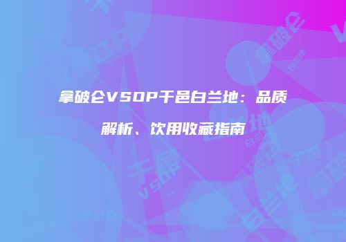拿破仑VSOP干邑白兰地：品质解析、饮用收藏指南