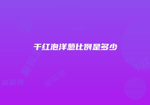 干红泡洋葱比例是多少