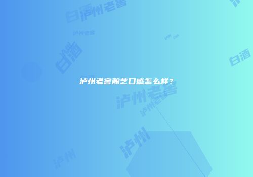 泸州老窖酿艺口感怎么样？