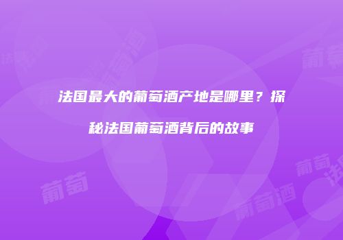 法国最大的葡萄酒产地是哪里？探秘法国葡萄酒背后的故事