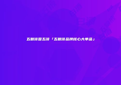 五粮液国五液「五粮液品牌核心大单品」