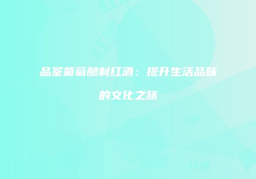 品鉴葡萄酿制红酒：提升生活品味的文化之旅