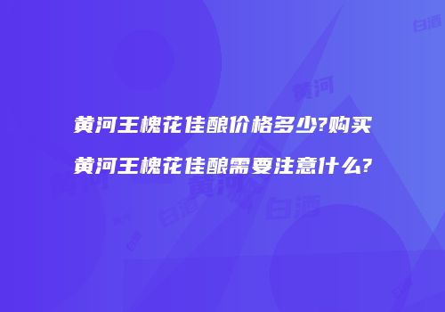 黄河王槐花佳酿价格多少?购买黄河王槐花佳酿需要注意什么?