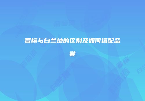 香槟与白兰地的区别及如何搭配品尝