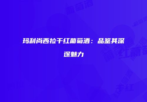 玛利尚西拉干红葡萄酒：品鉴其深邃魅力