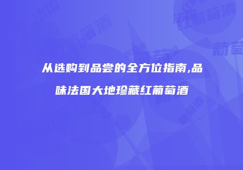 从选购到品尝的全方位指南,品味法国大地珍藏红葡萄酒