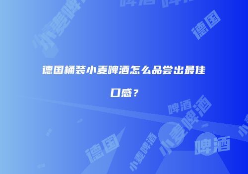 德国桶装小麦啤酒怎么品尝出最佳口感？