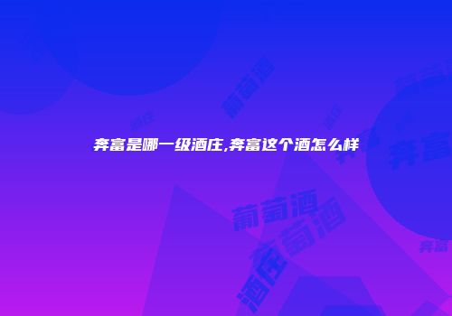 奔富是哪一级酒庄,奔富这个酒怎么样