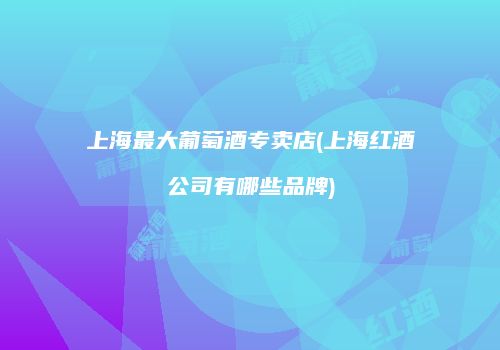 上海最大葡萄酒专卖店(上海红酒公司有哪些品牌)