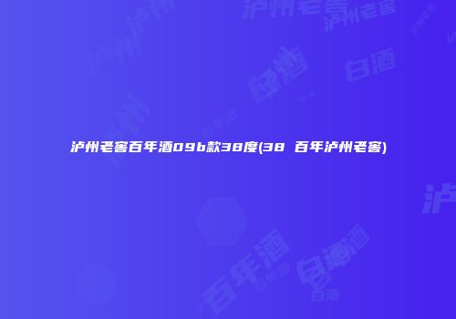泸州老窖百年酒09b款38度(38 百年泸州老窖)
