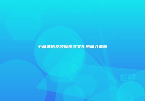 中国啤酒发酵原理与文化的深入解析