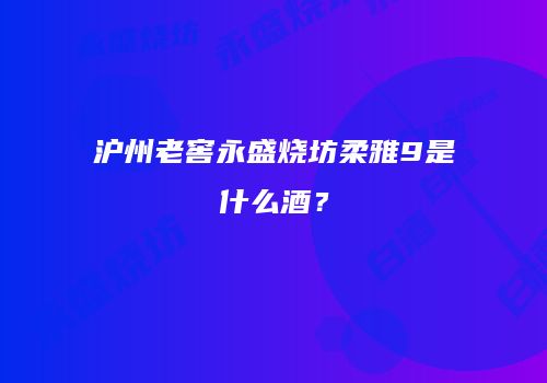 沪州老窖永盛烧坊柔雅9是什么酒？