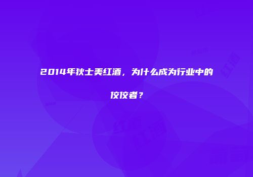 2014年狄士美红酒，为什么成为行业中的佼佼者？