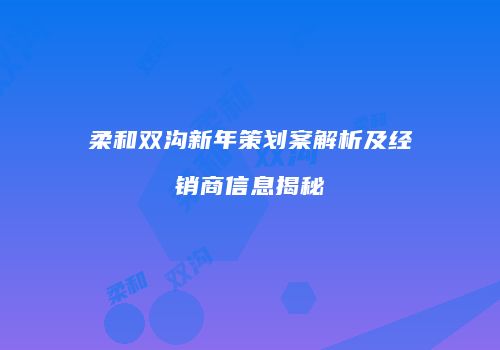 柔和双沟新年策划案解析及经销商信息揭秘