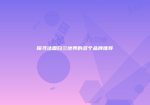 探寻法国白兰地界的多个品牌推荐
