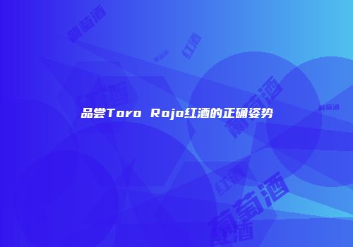 品尝Toro Rojo红酒的正确姿势