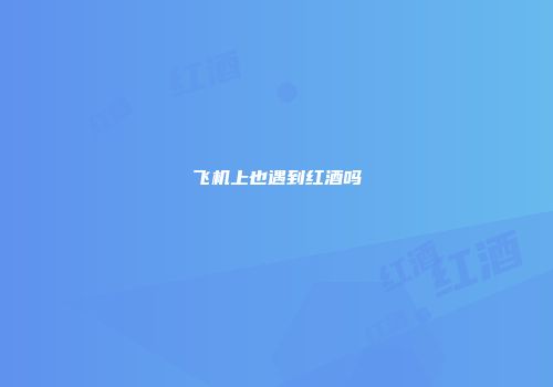 飞机上也遇到红酒吗