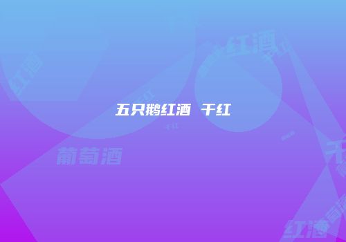 五只鹅红酒 干红