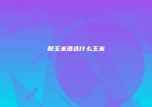 酿玉米酒选什么玉米