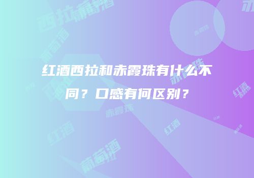 红酒西拉和赤霞珠有什么不同？口感有何区别？