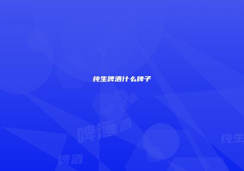 纯生啤酒什么牌子