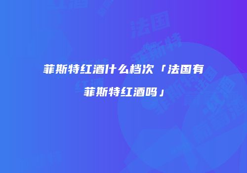 菲斯特红酒什么档次「法国有菲斯特红酒吗」