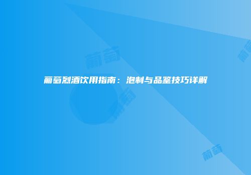 葡萄烈酒饮用指南：泡制与品鉴技巧详解