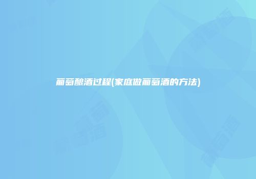 葡萄酿酒过程(家庭做葡萄酒的方法)
