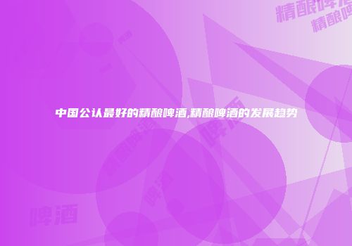 中国公认最好的精酿啤酒,精酿啤酒的发展趋势
