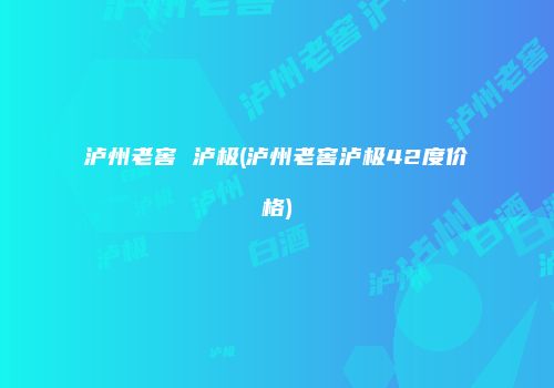 泸州老窖 泸极(泸州老窖泸极42度价格)