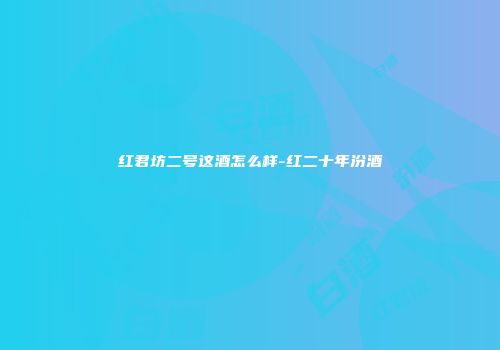 红君坊二号这酒怎么样-红二十年汾酒