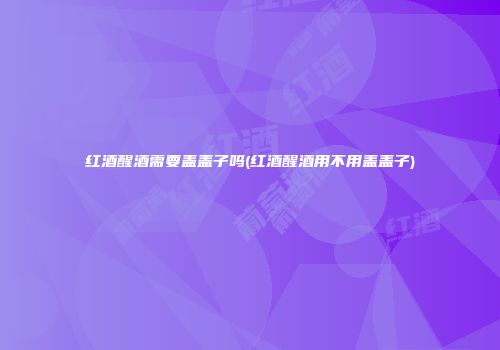 红酒醒酒需要盖盖子吗(红酒醒酒用不用盖盖子)