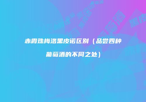 赤霞珠梅洛黑皮诺区别（品尝四种葡萄酒的不同之处）