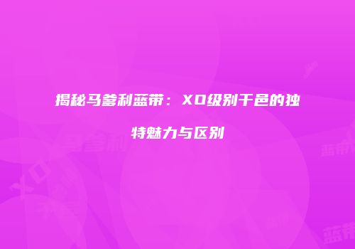 揭秘马爹利蓝带：XO级别干邑的独特魅力与区别