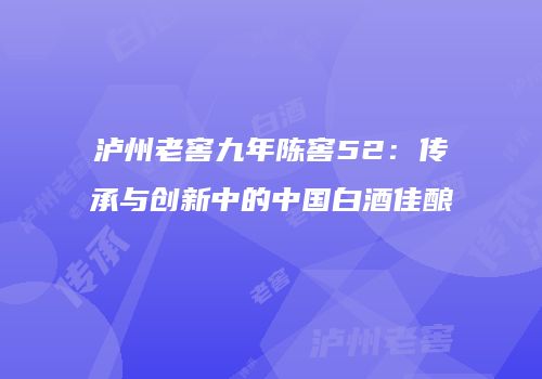 泸州老窖九年陈窖52：传承与创新中的中国白酒佳酿