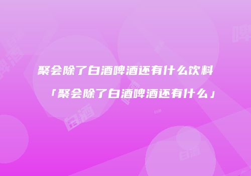 聚会除了白酒啤酒还有什么饮料「聚会除了白酒啤酒还有什么」
