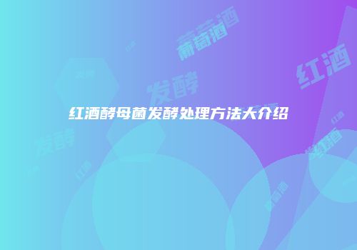 红酒酵母菌发酵处理方法大介绍