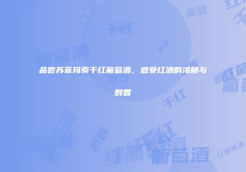 品尝苏菲玛索干红葡萄酒，感受红酒的浓郁与醇香