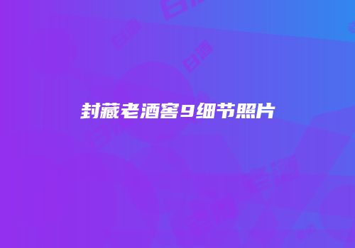 封藏老酒窖9细节照片