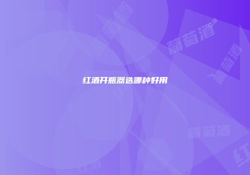 红酒开瓶器选哪种好用