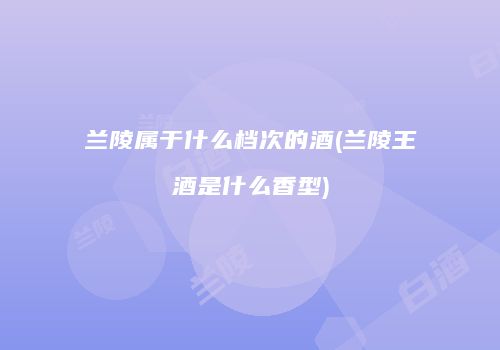 兰陵属于什么档次的酒(兰陵王酒是什么香型)
