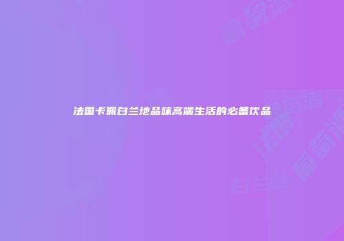 法国卡佩白兰地品味高端生活的必备饮品